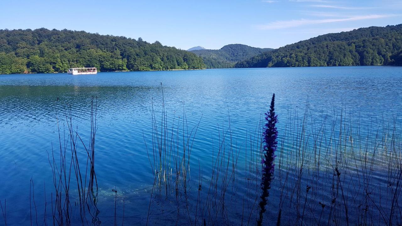 B&B Plitvice Lakes Villa Prica Plitvica selo Eksteriør billede